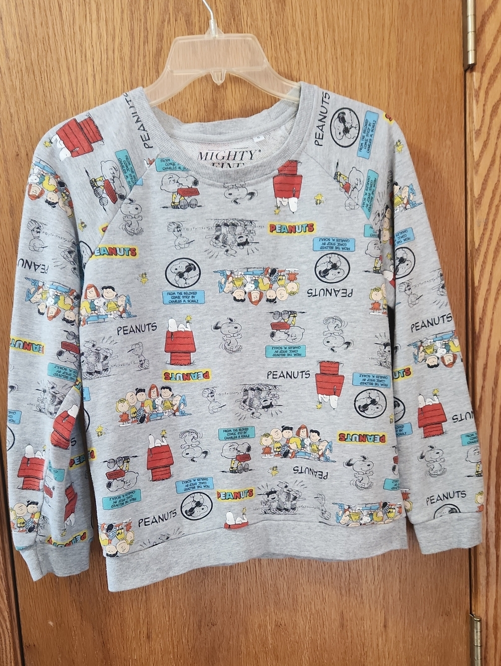 Peanuts Light Gray Sweatshirt with Red, Blue, Yellow Accents